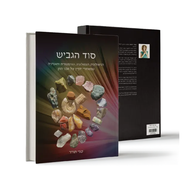 ספר מתוך אוטוריטה מקצועית שעיצבנו