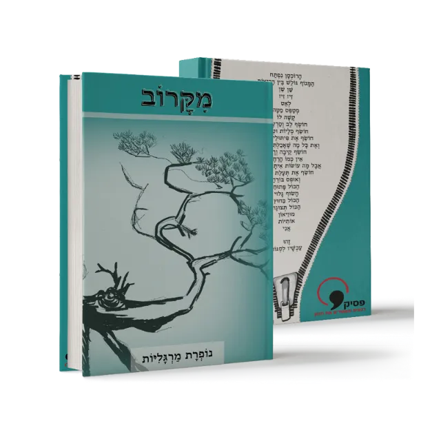 ספר מתוך פרוזה שעיצבנו